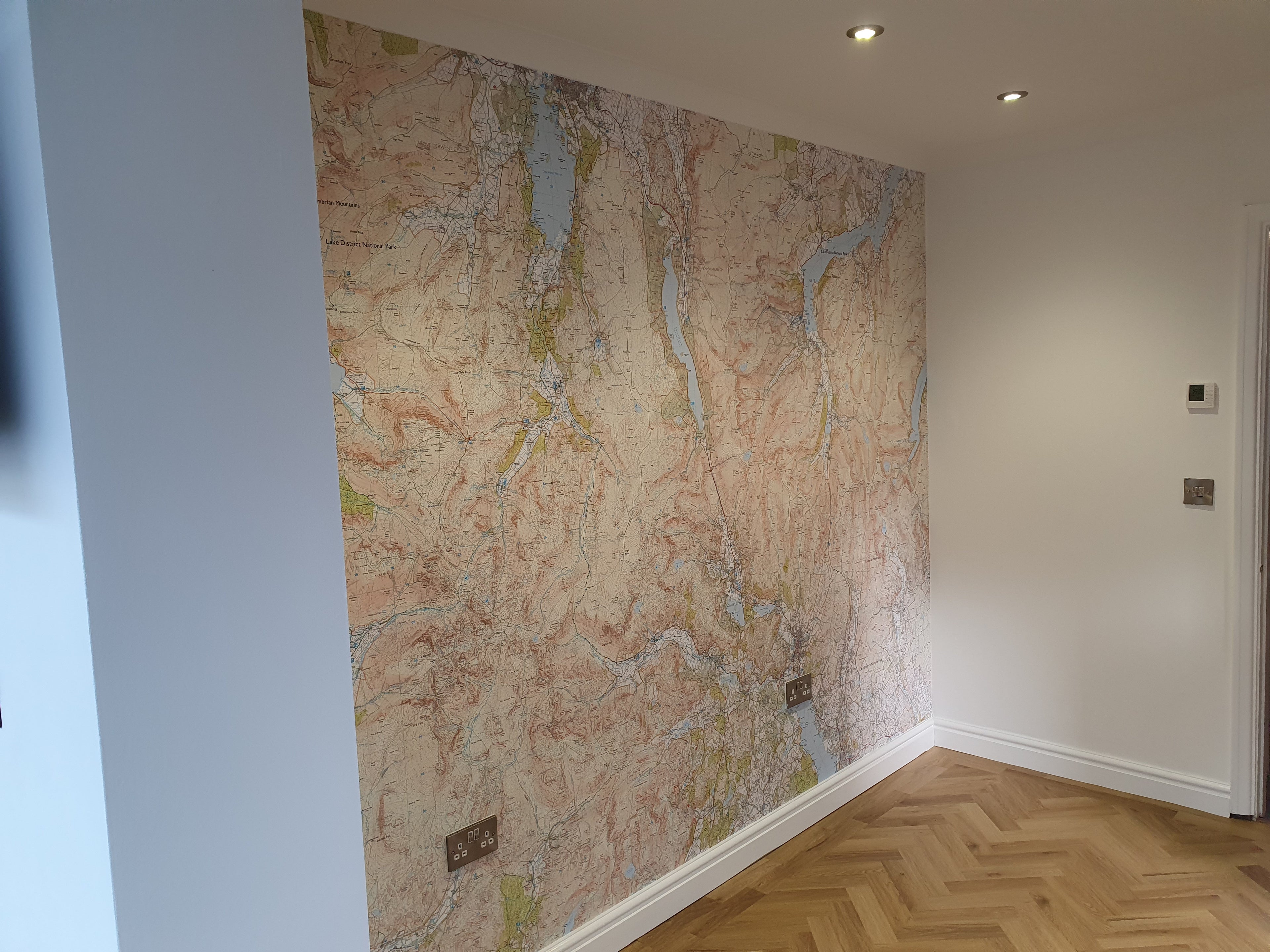 Custom Wallpaper Mural