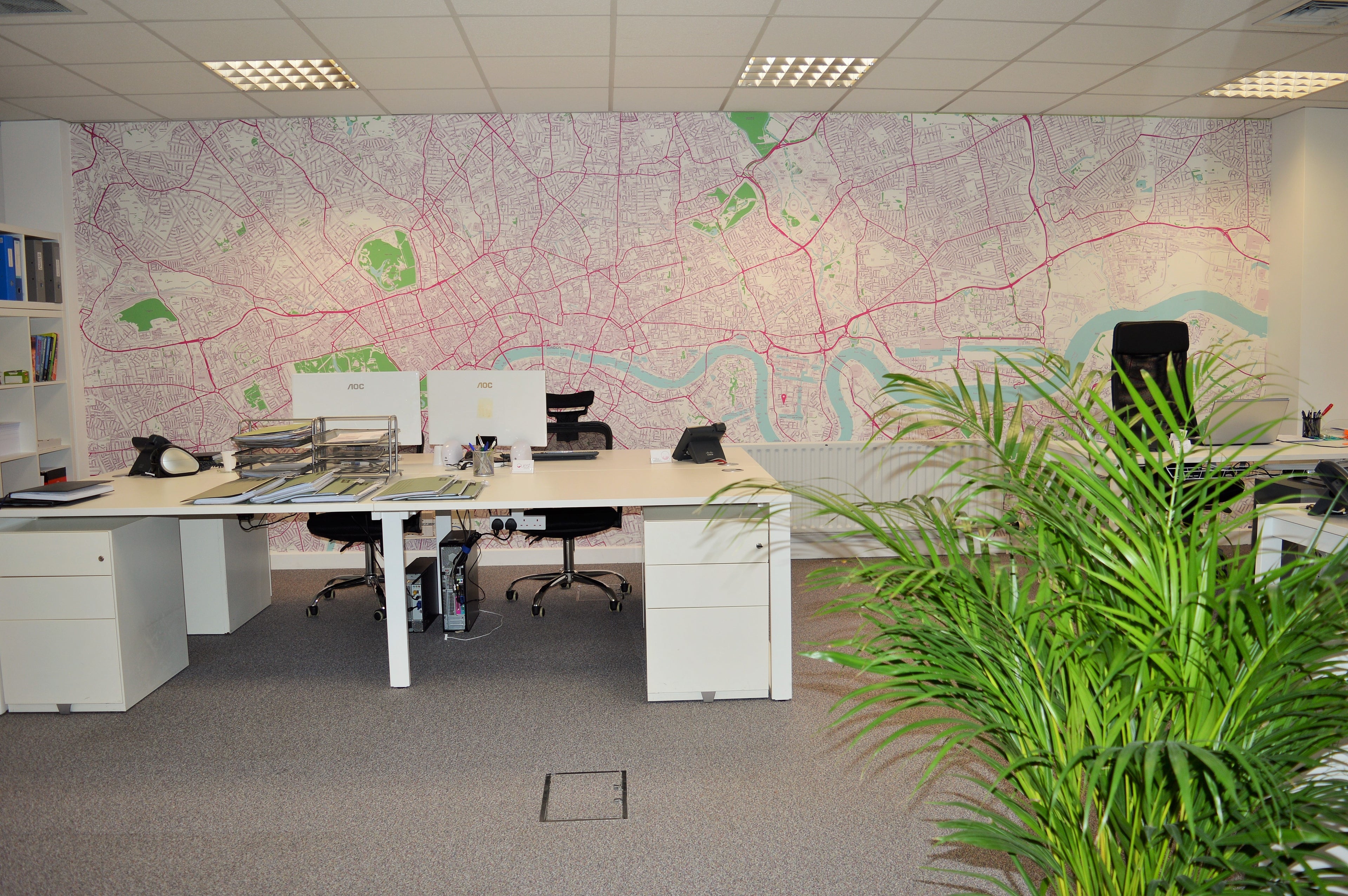 Custom Wallpaper Mural