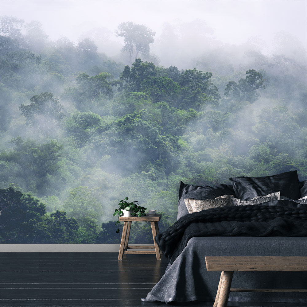 Misty Forest Treetops Photo wallpaper