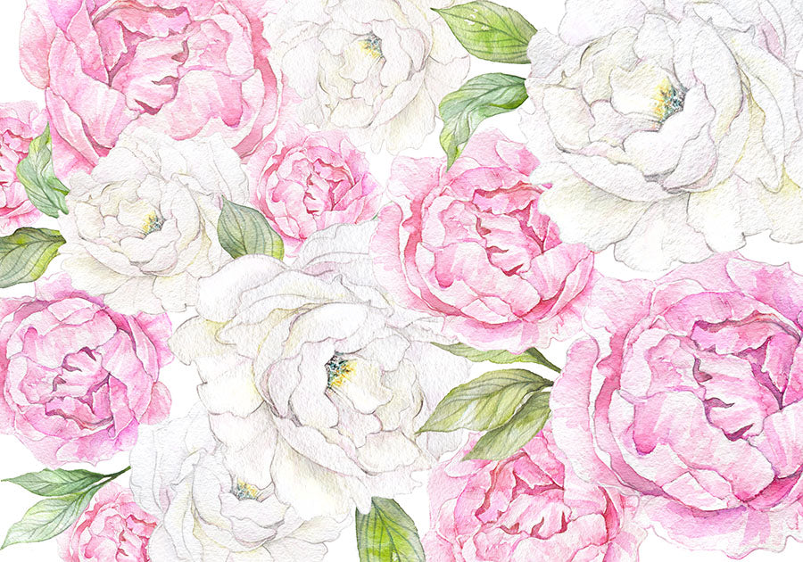 Peony Season Wallpaper Wall Mural Floral Design