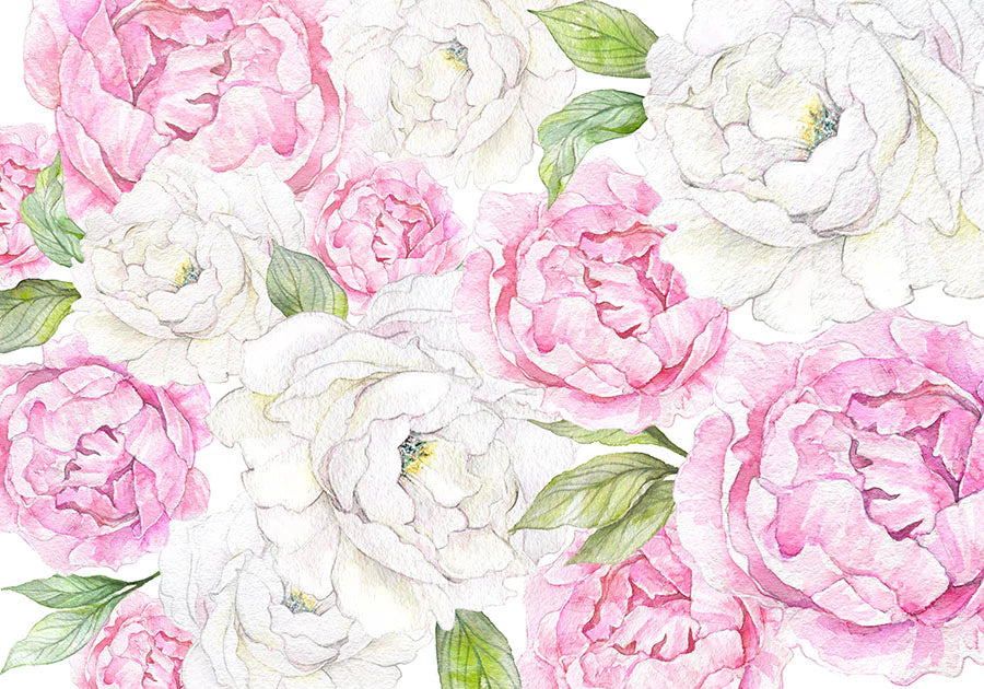 Peony Season Wallpaper Wall Mural Floral Design