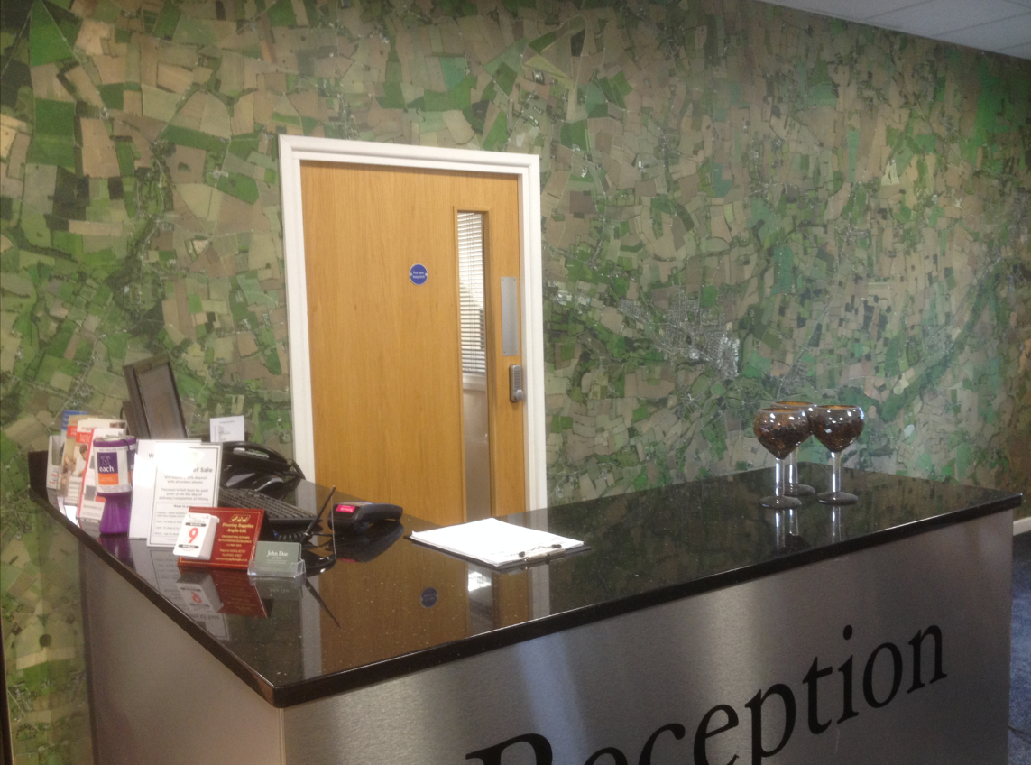 Custom Wallpaper Mural