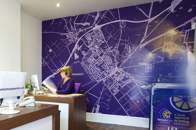 5 Great Reasons for Your Estate Agency to Invest in Our Custom Map Wall Murals