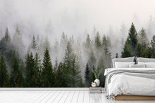 Forest & jungle wallpaper