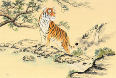 Wild Tiger Content - Nikole Lowe Wallpaper Collection by Wallpapered
