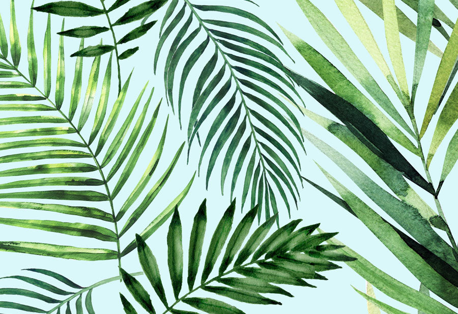 Tropical Ferns Wallpaper