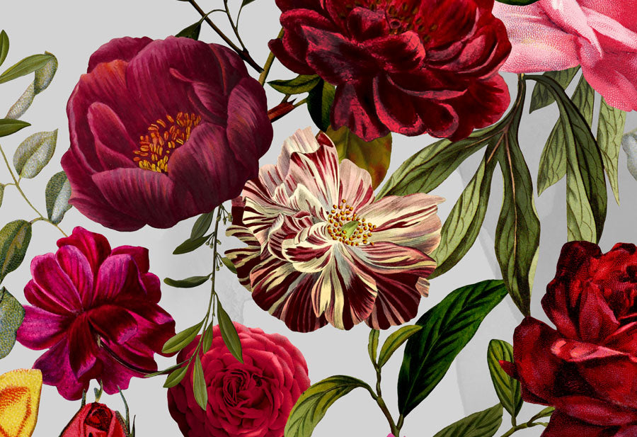 Velvet Roses Wallpaper close up detail view