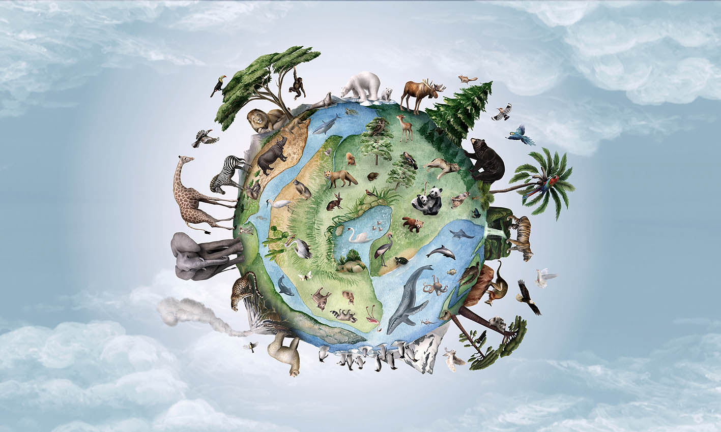 Animals of Earth wallpaper mural by Kikki Belle