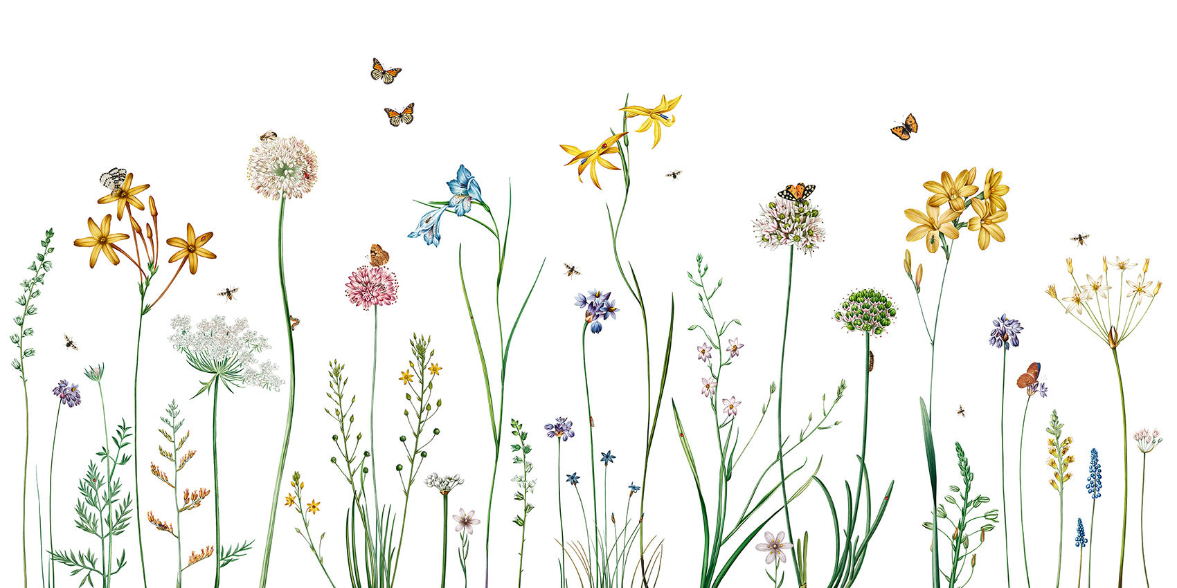 Butterfly Garden wallpaper mural by Kikki Belle