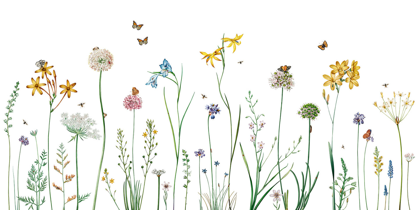 Butterfly Garden wallpaper mural by Kikki Belle