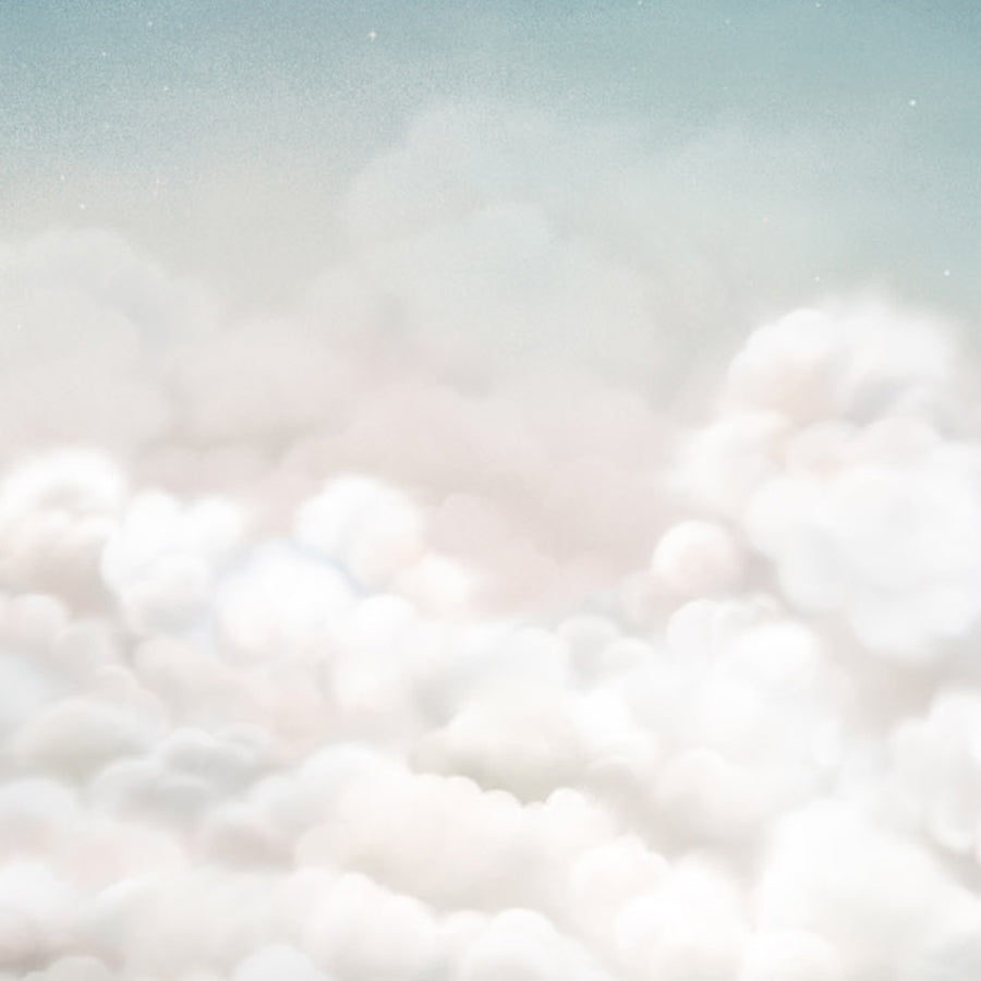 Close-up of the Calming Clouds – Blue wallpaper mural by Oliver Robins