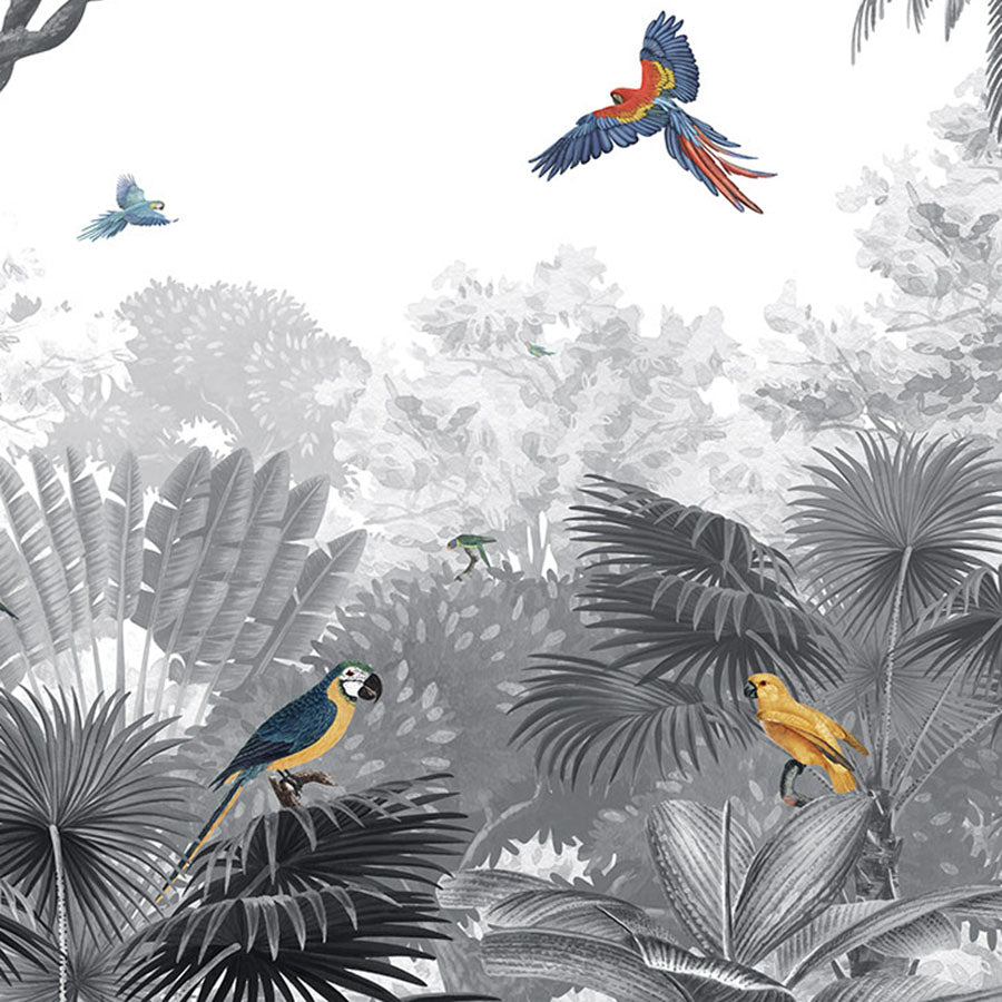 Close-up of the Canopy Jungle – Black & White wallpaper mural featuring tropical foliage and colourful birds