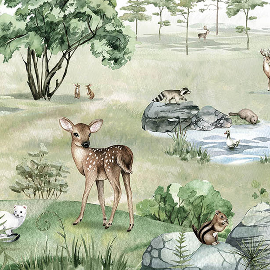 Close-up of the Deer Forest – Summer wallpaper mural