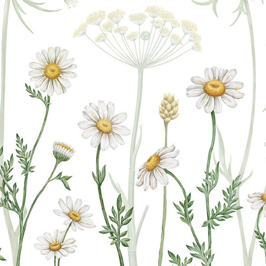 Close-up of the Field of Daisies wallpaper mural