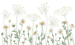Field of Daisies wallpaper mural by Kikki Belle