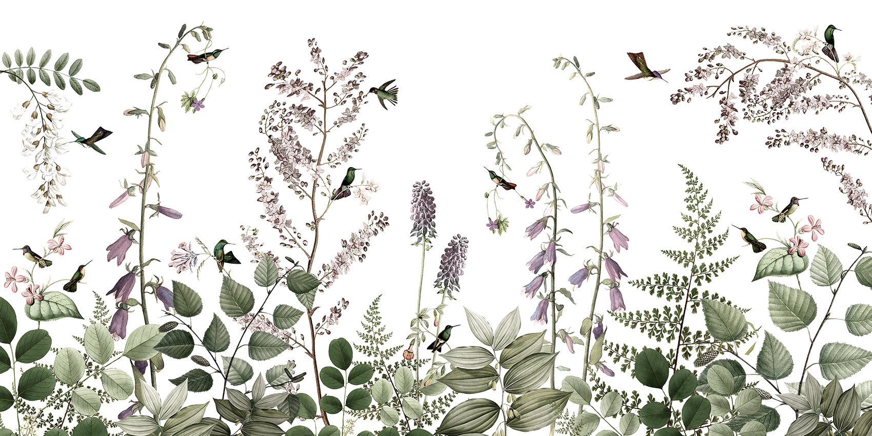 Hummingbird Hedge wallpaper mural by Kikki Belle