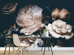 Midnight Peony