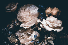Midnight Peony