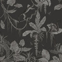Close-up of the Playful Monkeys – Monochrome Black wallpaper mural
