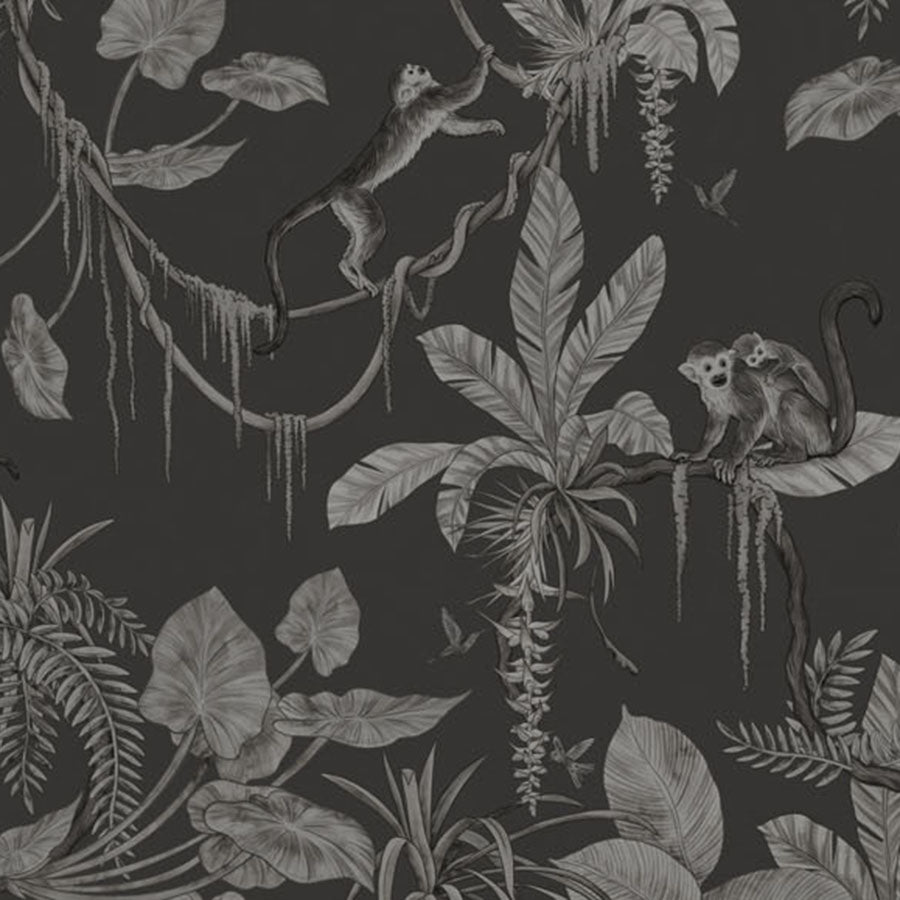 Close-up of the Playful Monkeys – Monochrome Black wallpaper mural