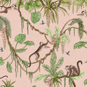 Close-up of the Playful Monkeys – Pink wallpaper mural
