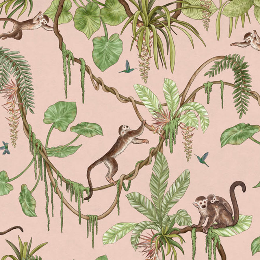 Close-up of the Playful Monkeys – Pink wallpaper mural