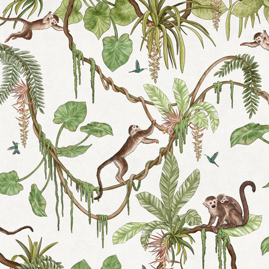 Close-up of the Playful Monkeys – White wallpaper mural