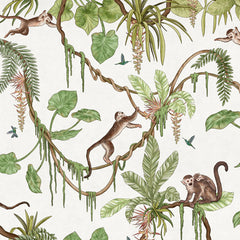 Close-up of the Playful Monkeys – White wallpaper mural