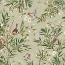 Close-up of the Playful Robins – Green wallpaper mural