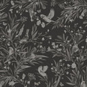Close-up of the Playful Robins – Monochrome Black wallpaper mural