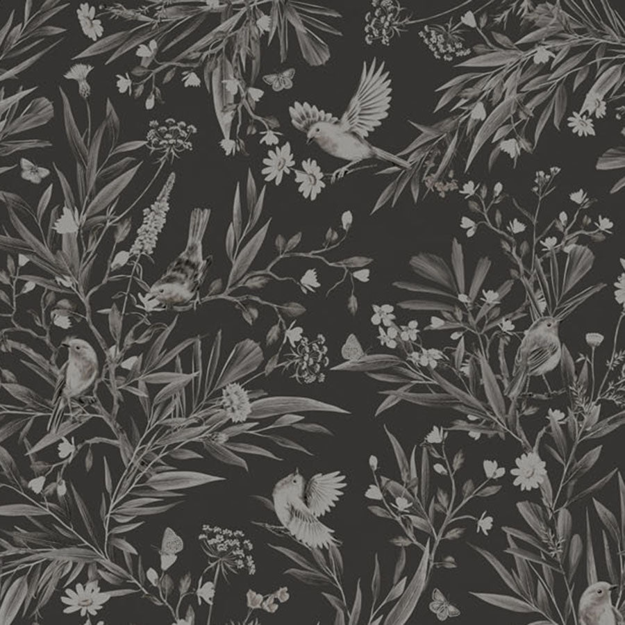 Close-up of the Playful Robins – Monochrome Black wallpaper mural