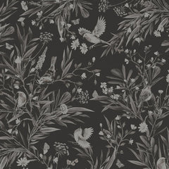 Close-up of the Playful Robins – Monochrome Black wallpaper mural