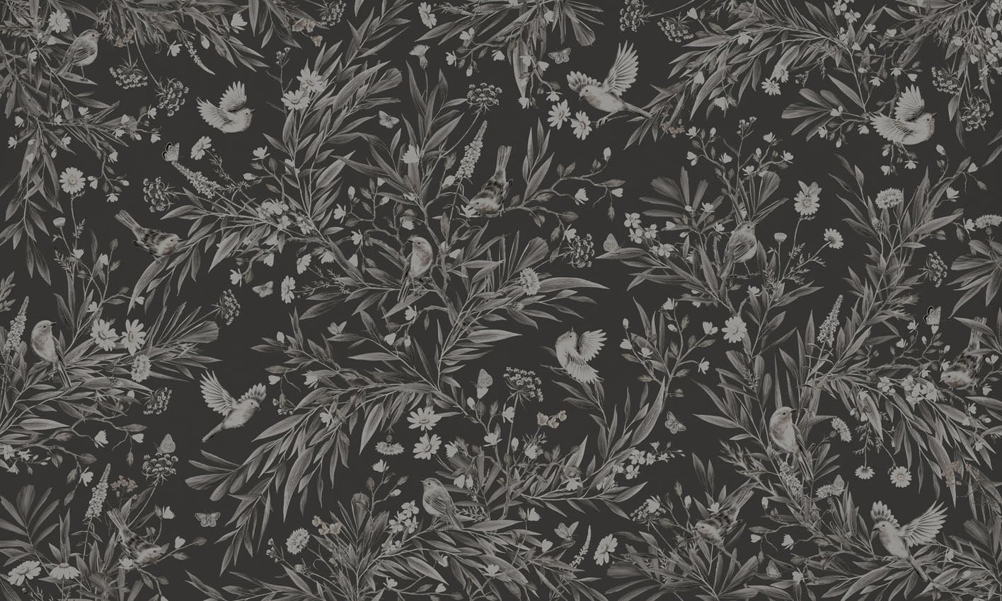 Playful Robins – Monochrome Black wallpaper mural by Kikki Belle
