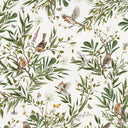 Close-up of the Playful Robins – White wallpaper mural