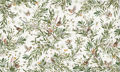 Playful Robins – White wallpaper mural by Kikki Belle
