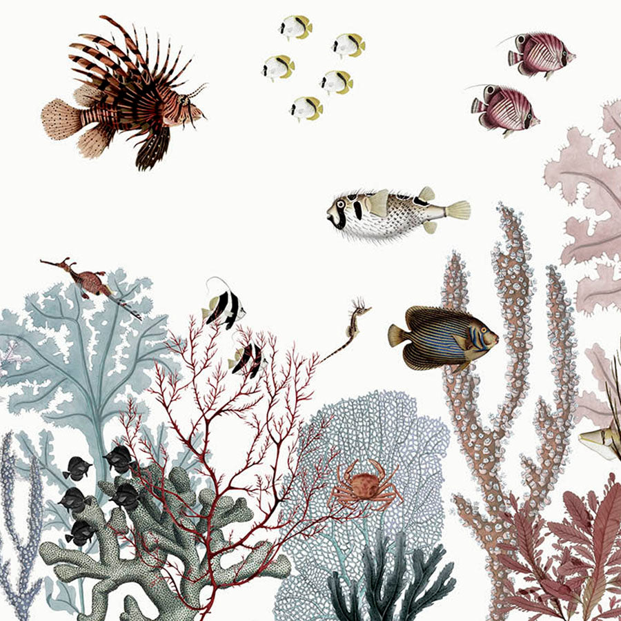 Close-up of the Roaring Reef – White wallpaper mural