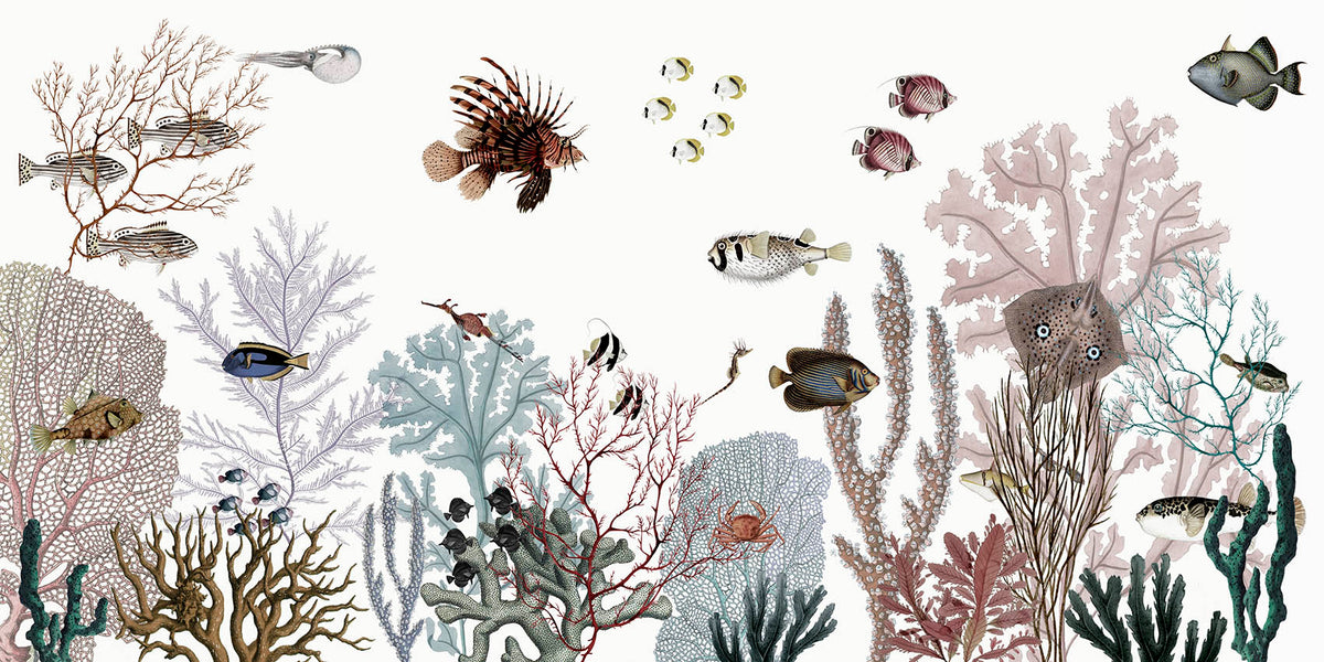 Roaring Reef – White wallpaper mural by Kikki Belle