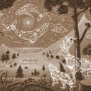 Close-up of the Spirit Night – Brown wallpaper mural by Oliver Robins